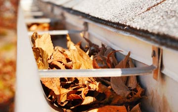 Thorncliffe gutter cleaning companies
