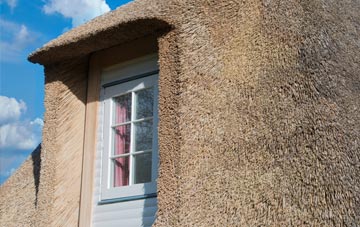 Thorncliffe thatch roof disadvantages